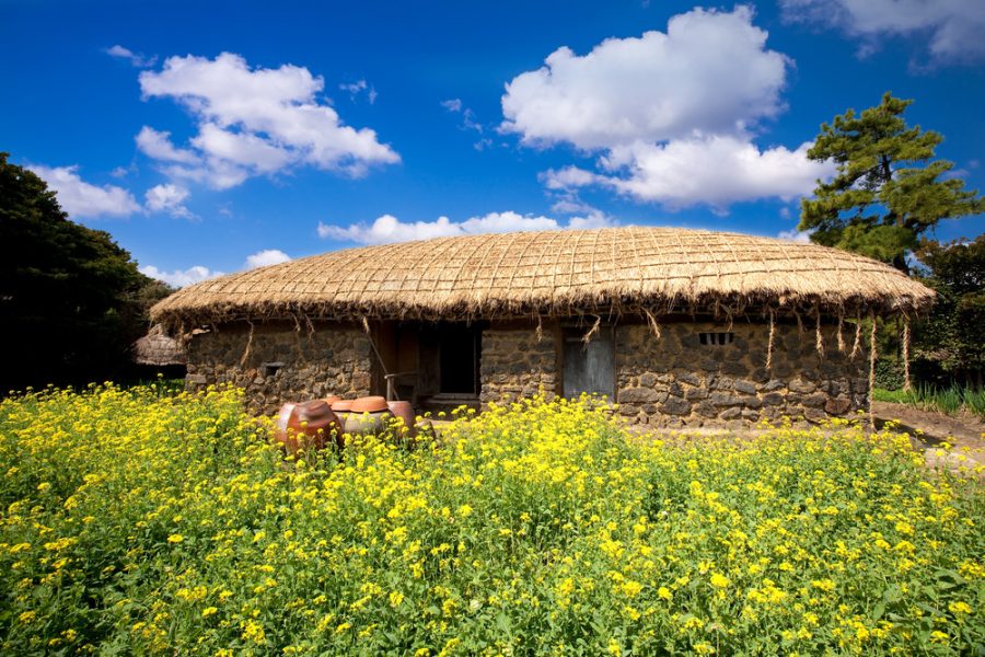 Jeju + Udo Island, 4D3N
