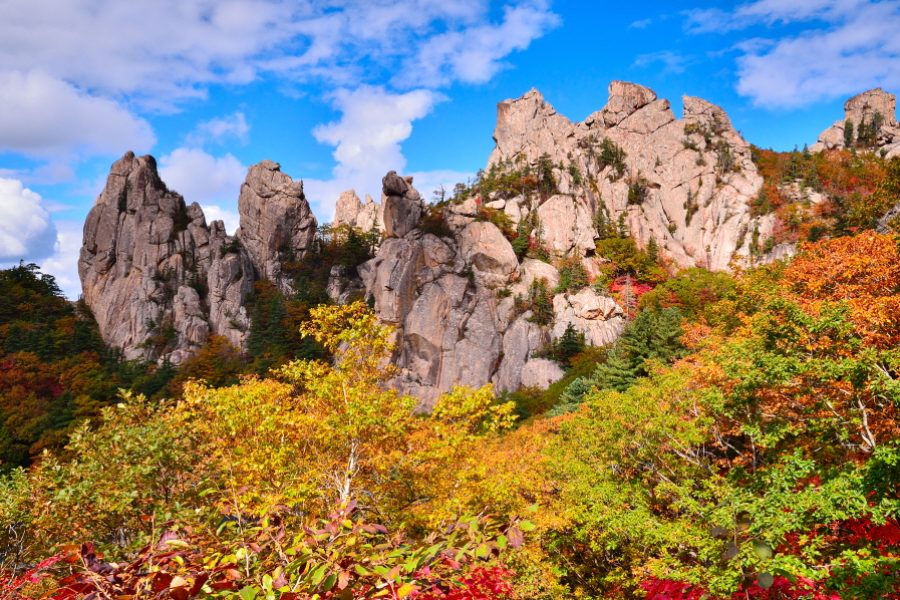 Ganwon-do 5D4N Temple Stay – Cooking Class – DMZ tours