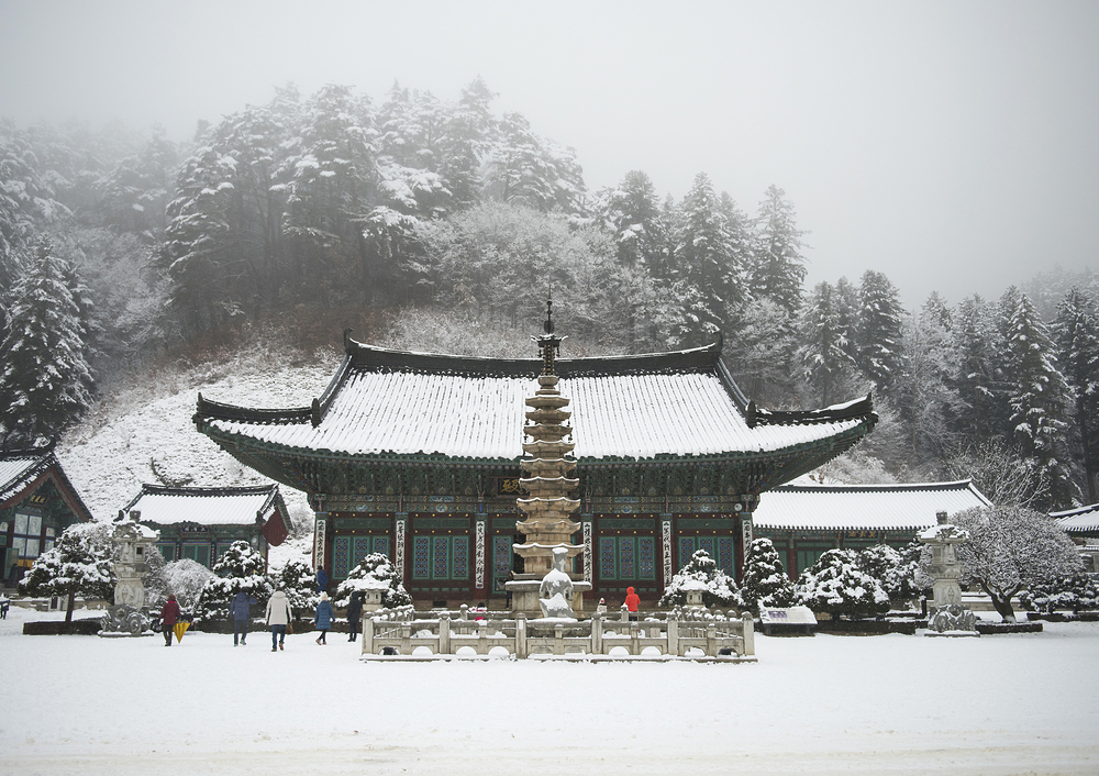 <span> Day 2-3 </span>PYEONG CHANG WOLJUNG TEMPLE STAY 1N2D